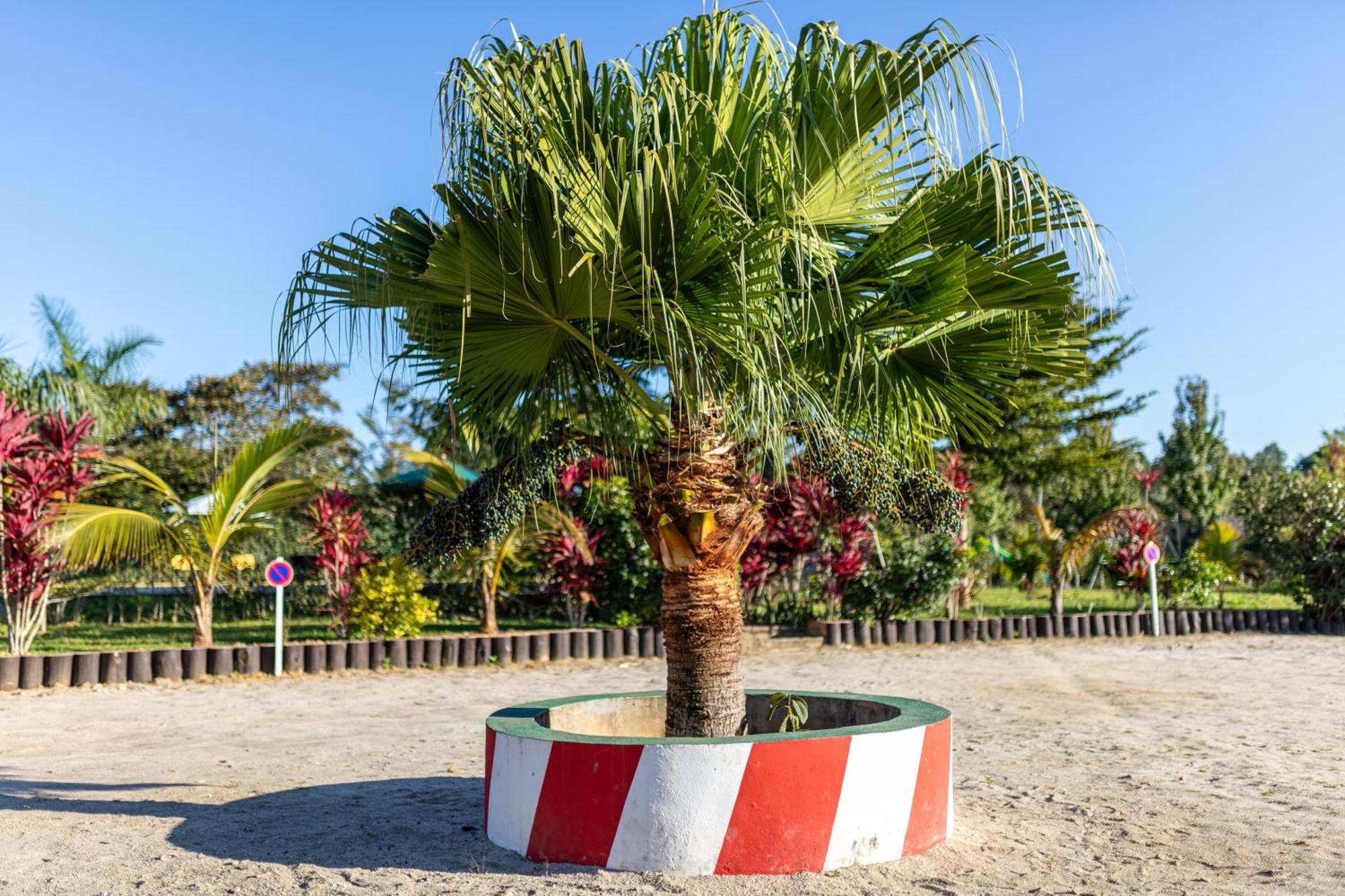 Andasibe Lemurs Lodge Dış mekan fotoğraf